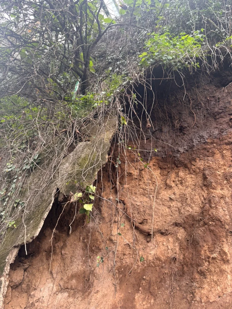 Raíces y tierra expuestas en talud junto a vivienda, Bosques de las Lomas